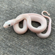 Illustration for article titled Bought a Snake